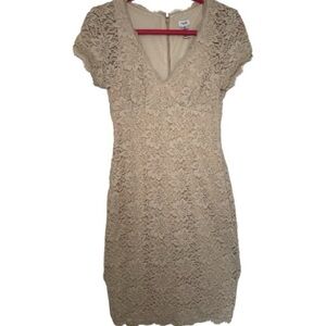 Cache Short Sleeve Lace Dress in Beige